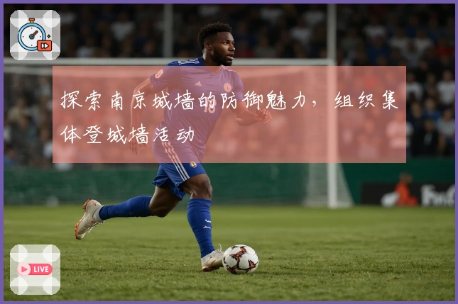 探索南京城墙的防御魅力，组织集体登城墙活动