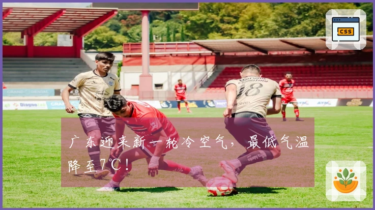 广东迎来新一轮冷空气,最低气温降至7℃!